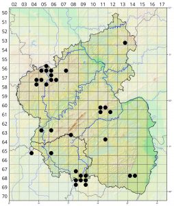 Coeloglossum viride Verbreitungskarte