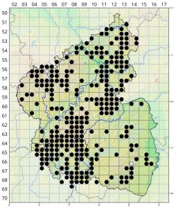 Dactylorhiza maculata agg Verbreitungskarte