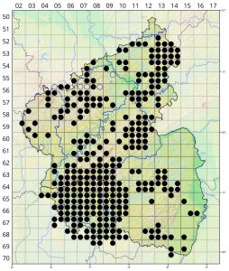 Dactylorhiza majalis Verbreitungskarte