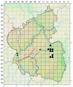 Dactylorhiza sambucina Verbreitungskarte