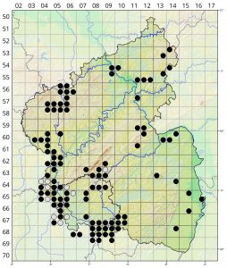 Gymnadenia conopsea agg Verbreitungskarte