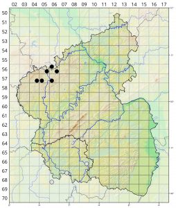 Herminium monorchis Verbreitungskarte