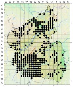 Listera ovata Verbreitungskarte