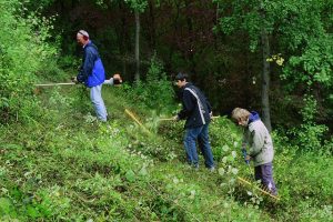 halbtrockena-IMAGE0064-640